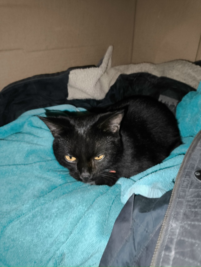 Может кто-нибудь ищет?
89963954257