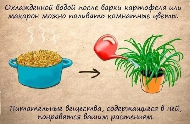 Очень полезные советы