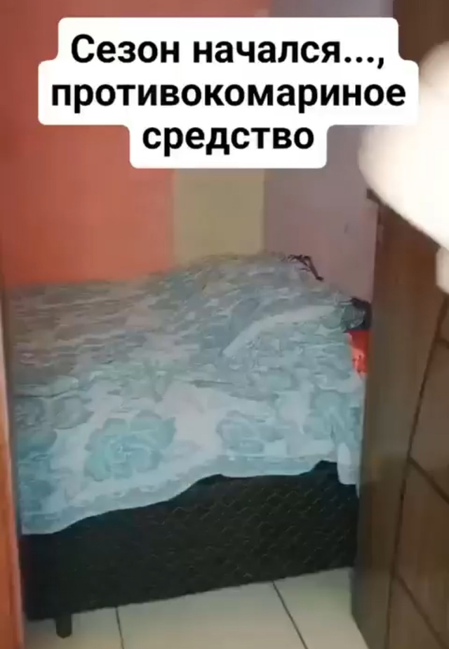 Эти паразиты точно не получат желаемое.