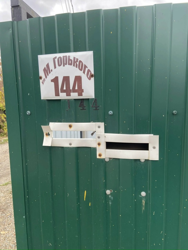 Котика машина сбила по улице Горького! Чей красавец?