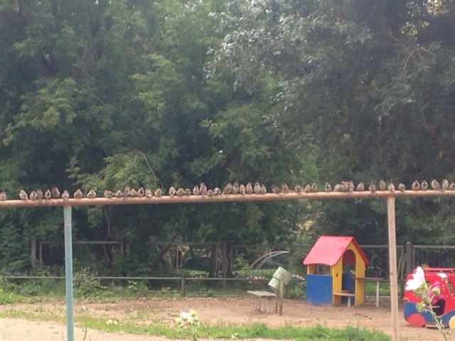 Что это за собрание на Куйбышева