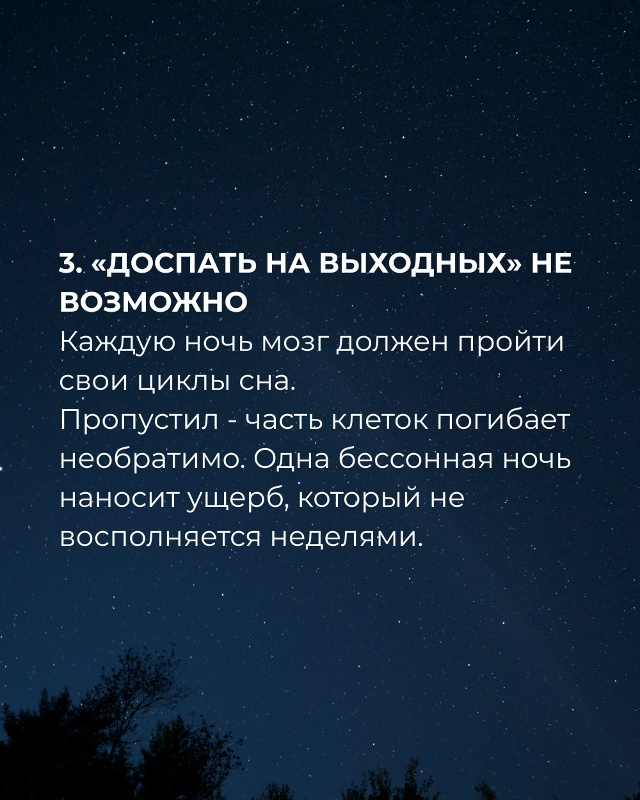 Сон — это не отдых, а генеральная уборка мозга. Недосып...