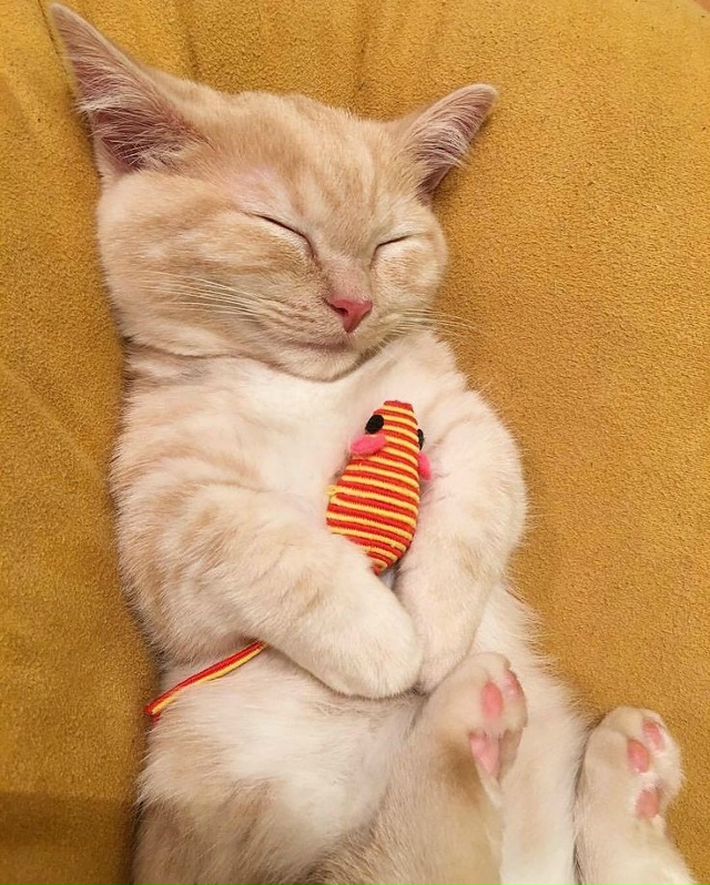 Тёпленький ❤️