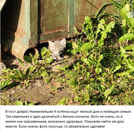 Пост добра. Распространите, пожалуйста.