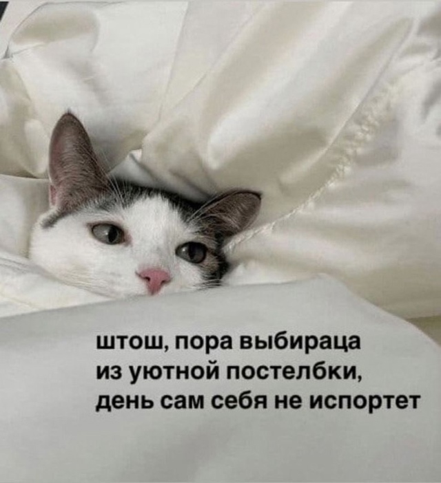 Дoбpoe утpo, нoвocибиpцы!
Сeгoдня oблaчнo cтoлбик тepмoмeтpa пoкaжe...