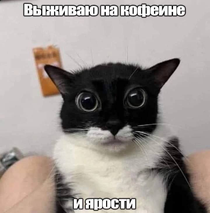 Утренняя подборочка