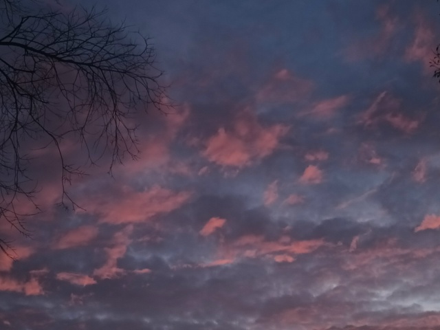 Привет, хотелось бы чтобы люди увидели данную красоту ?...