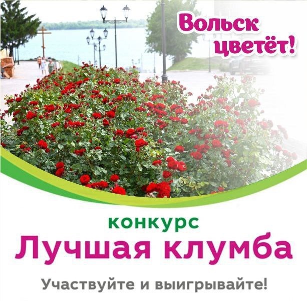 За лучшую клумбу вольчан опят ждут призы 🏅
В Вольском...