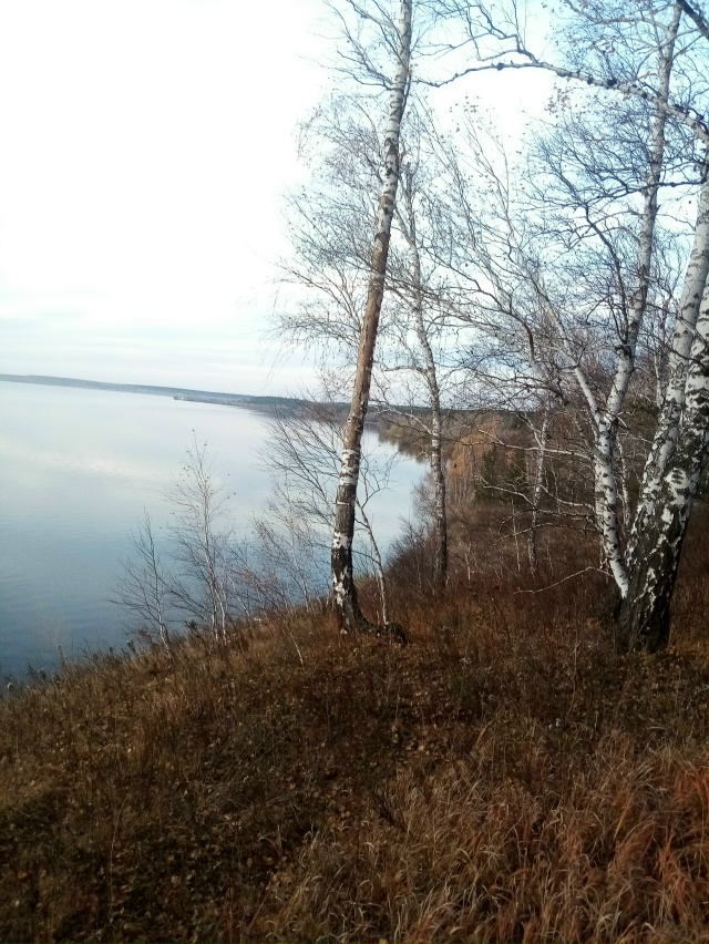 Немного позитива в ленту.На снимках-подборка № 3,прогу?...