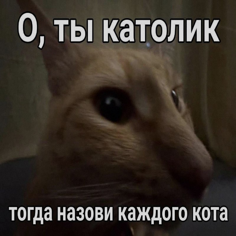 Ночная подборочка
Спать, режим