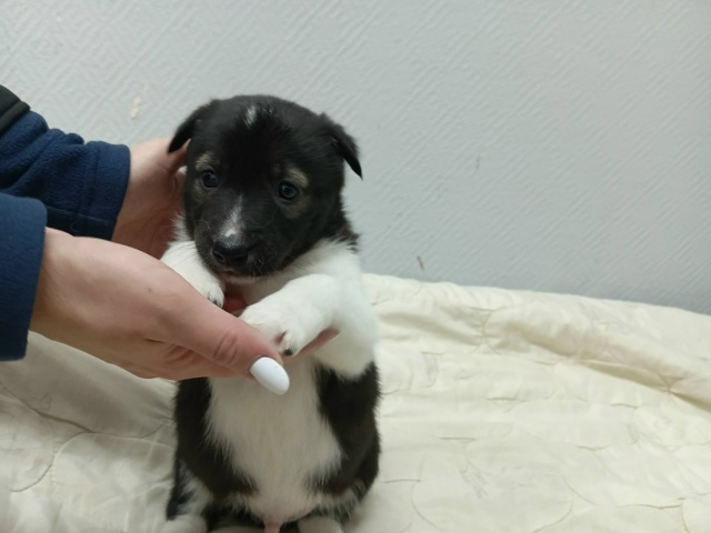 Приветствуем всех ещё раз!
Месяц назад мы нашли броше?...