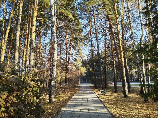 Оceнь в Акaдeмгopoдкe