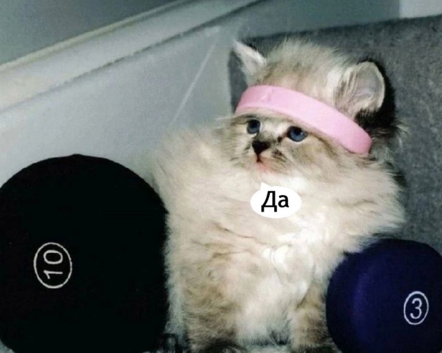 Это прям про меня