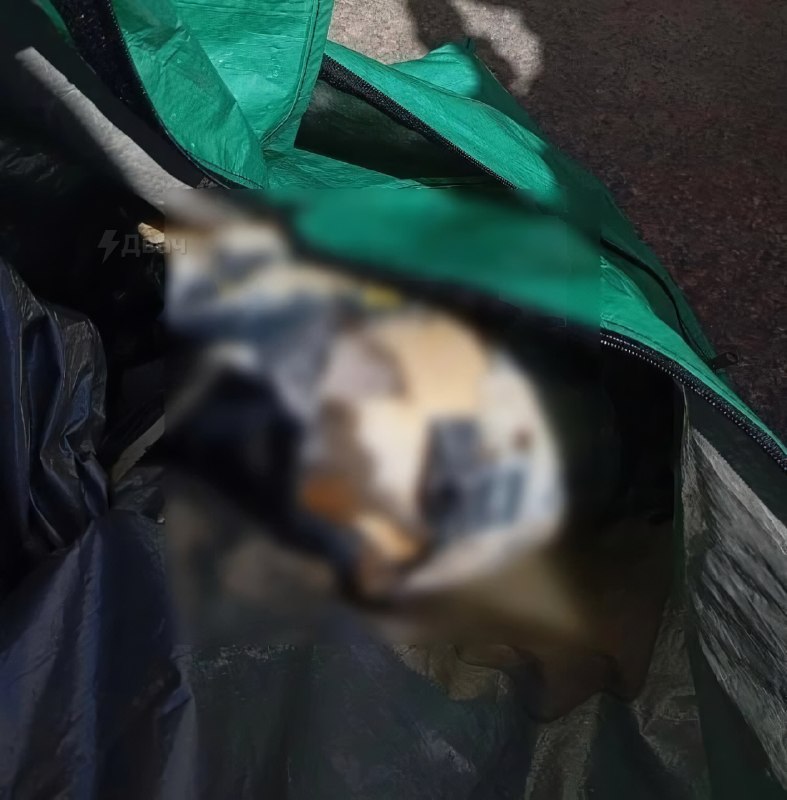 ❗️В Питере из реки Мойки достали отрубленную человеческую голову
По словам очевидца, спасатели рабо