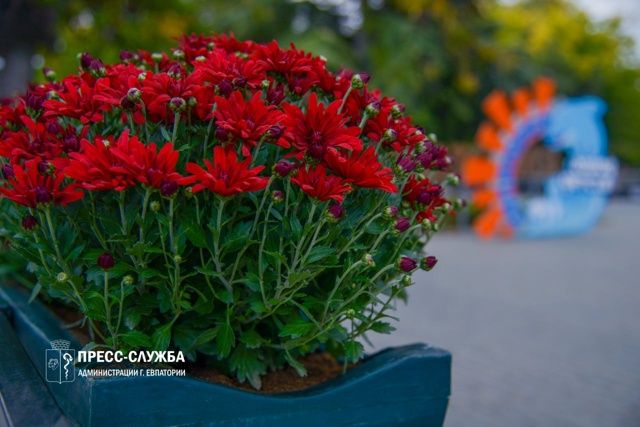 🌸Центр Евпатории украсят хризантемы
Сотрудники МБУ ?...