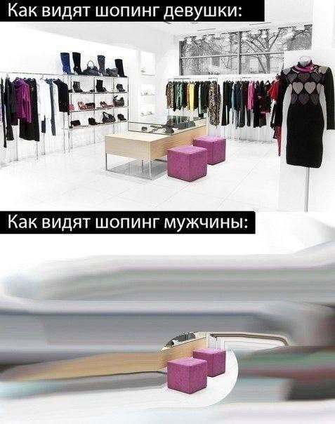Они любят только пуфики😅