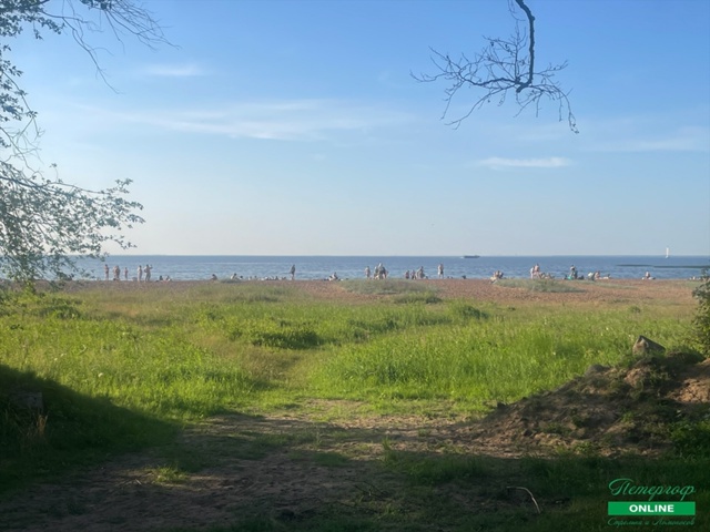 Пляж Александрии в прошлые выходные