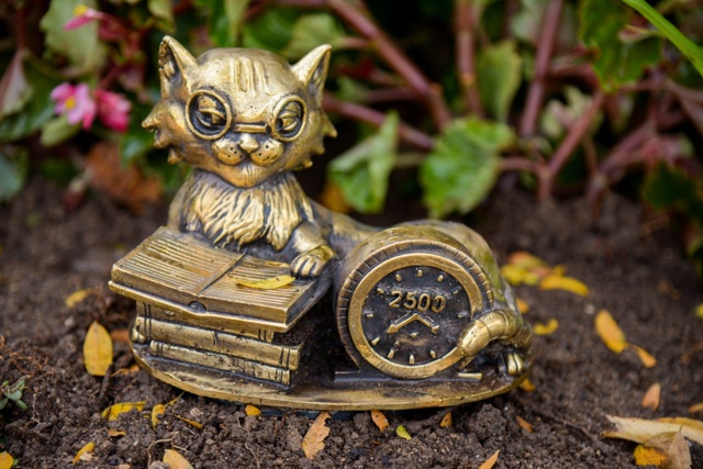 ?В Евпатории появились необычные коты
В историческо?...