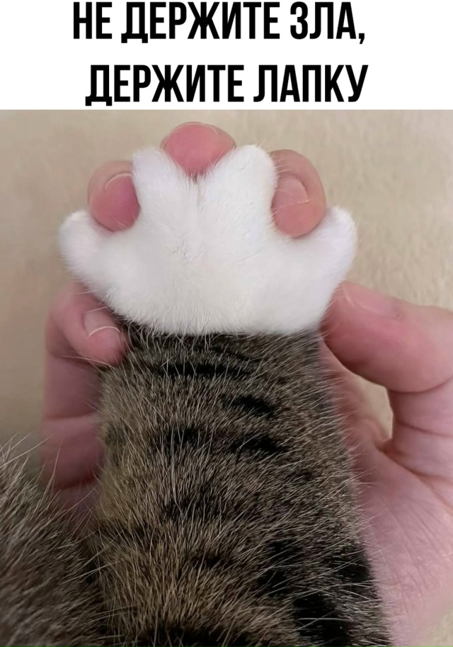 Любой стресс как рукой снимет