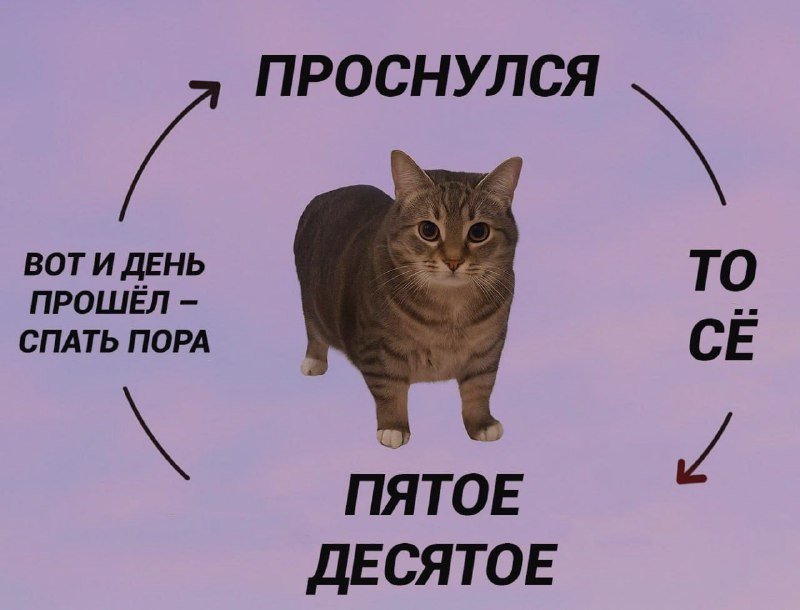 Ночная подборочка
Выходные, не спим