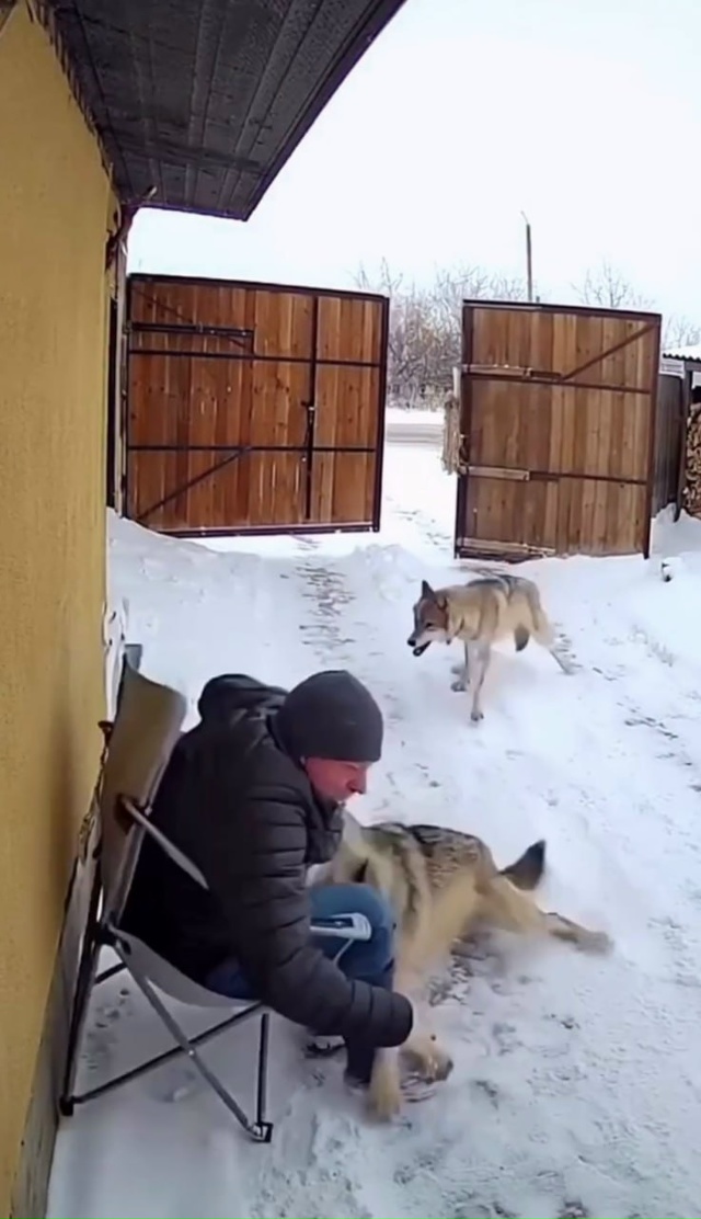 Трагедия в Коми.
Рядом с городом на 40-летнего мужчину ...