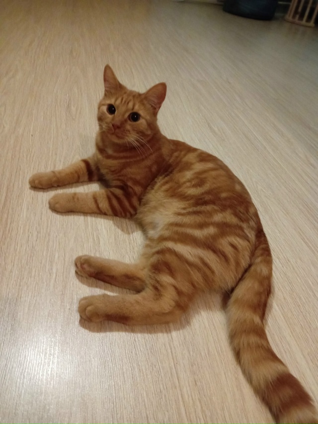 Наигрался🐭, можно и отдохнуть