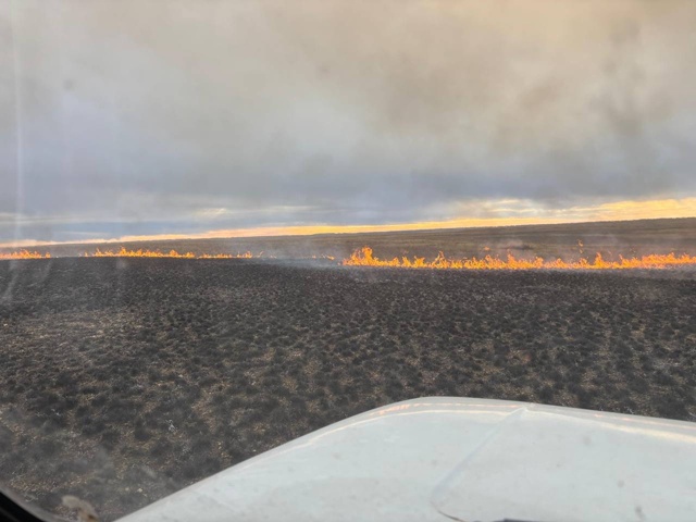 Между Орском и Гаем горит сухая трава на площади 5 гект?...