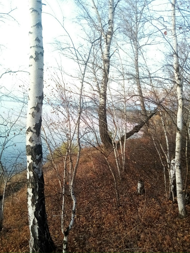 Немного позитива в ленту.На снимках-подборка №2 ,краси?...