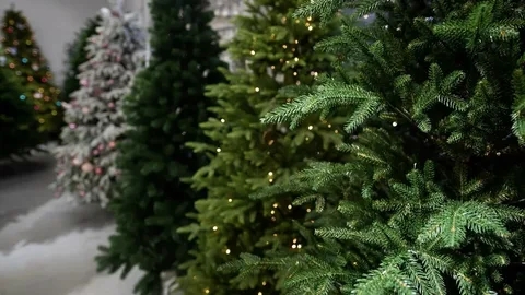 🎄Россияне стали чаще брать новогодние елки в аренду ??...