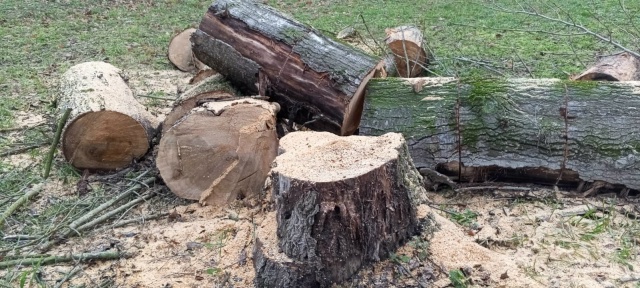 Ну кто же выпиливает по городу никому не мешающие двух?...