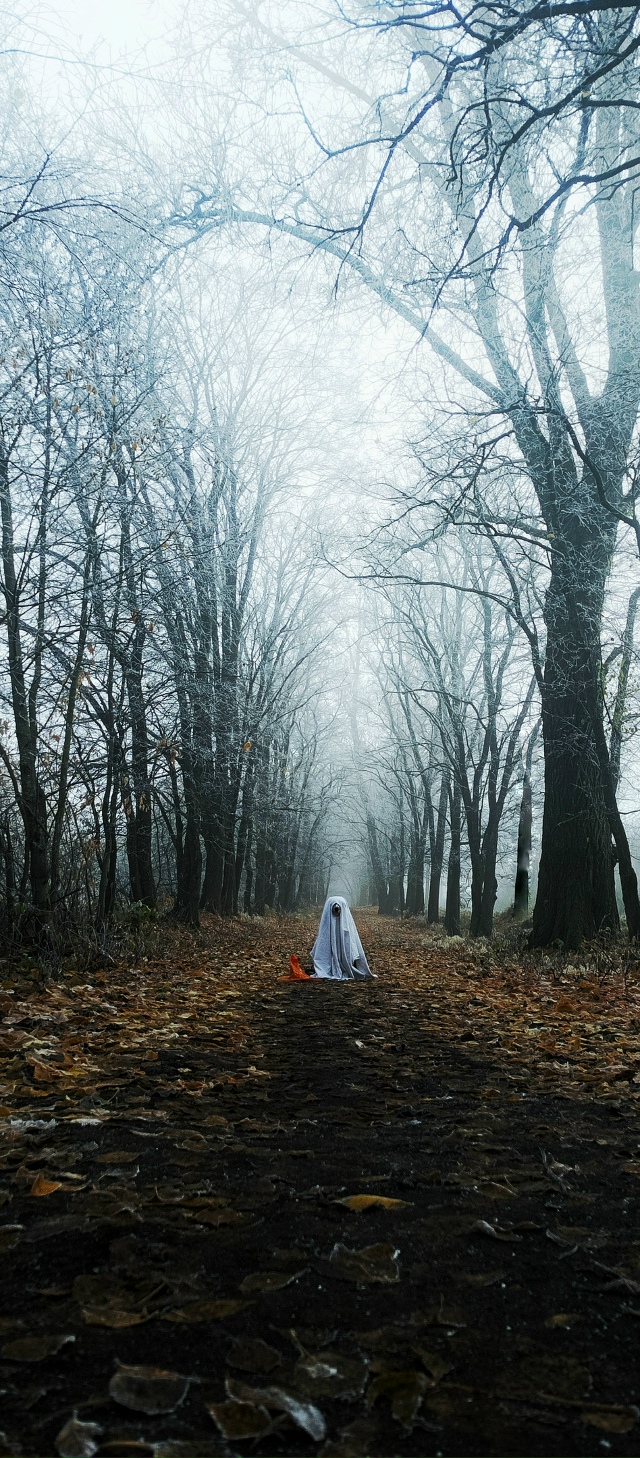 Будьте бдительны!
В районе старой дороги завелось прив...