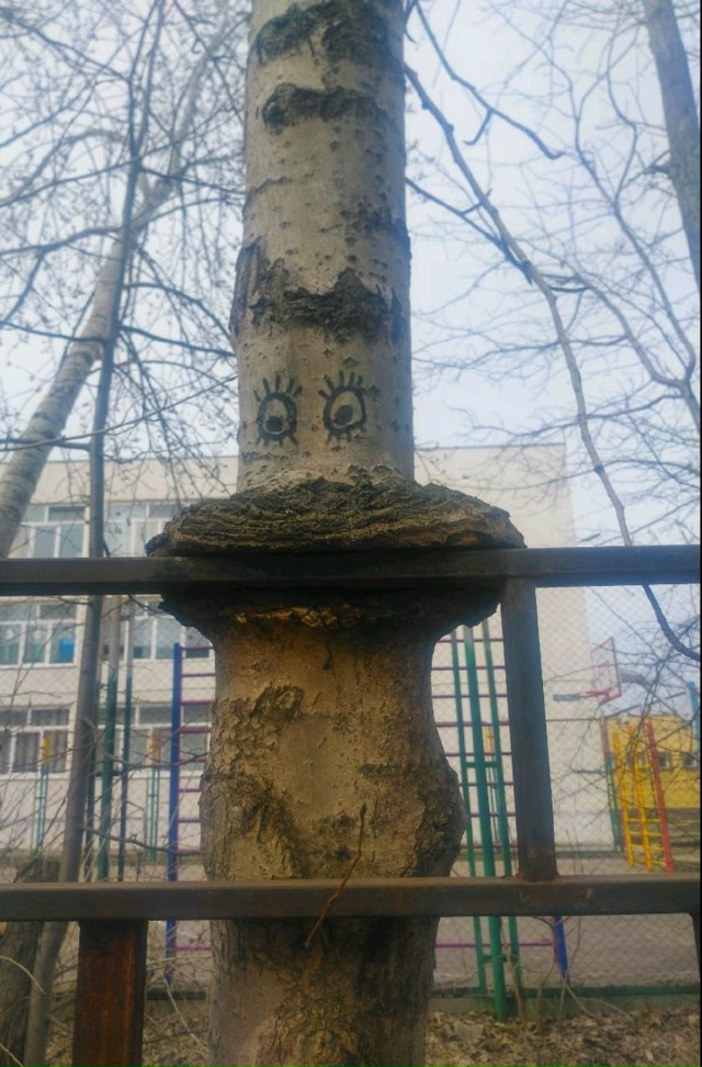 Омн-омн-омн
Замечено в Кондратово