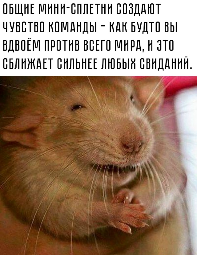 🗣 Главное — не переходить грань и помнить, что это спо...