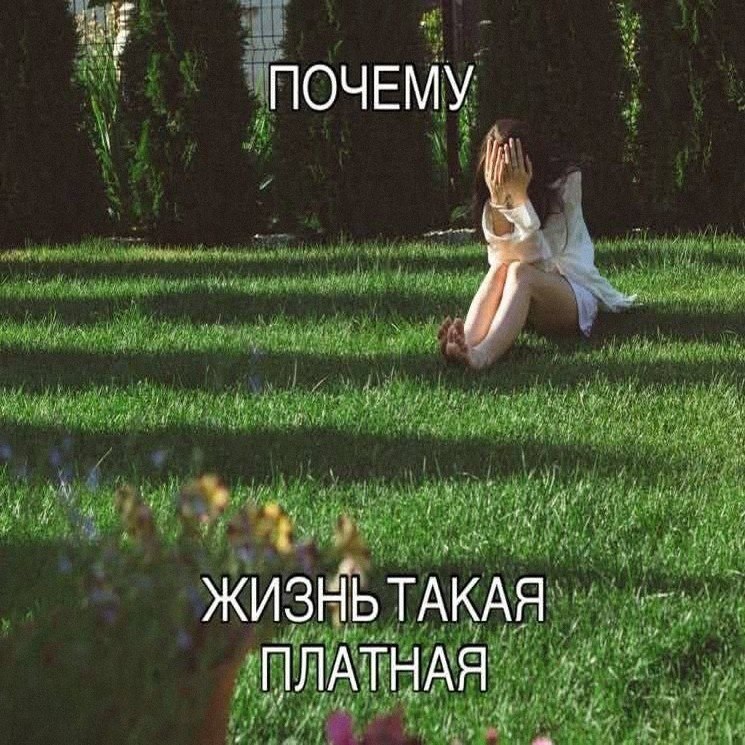 Утренняя подборочка