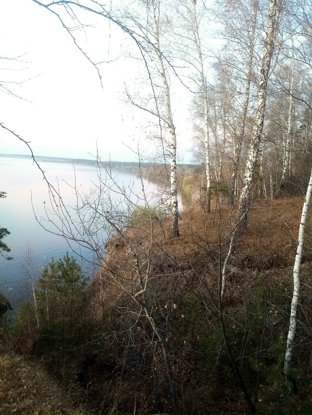 Немного позитива в ленту.На снимках-подборка №2 ,краси?...