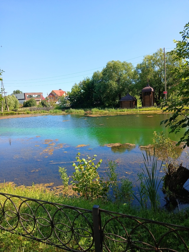 Дамы игоспода вот и до церковного пруда добрались вред...