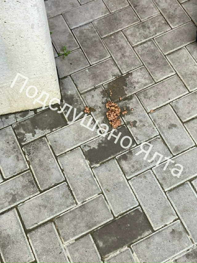 Постоянно вижу одно и то же в нашем городе. Почему у тех...