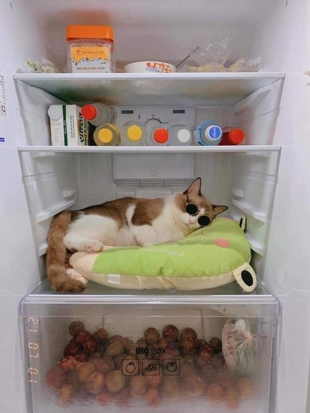 Уровень охлаждения 1000%
