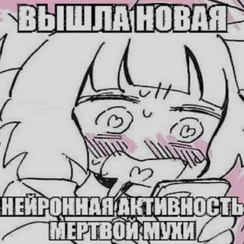 Ночная подборочка
Спать, режим