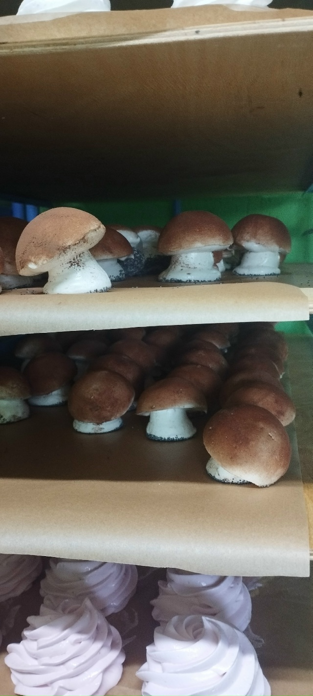 Давайте сделаем грибы из зефира?
Мастерская 