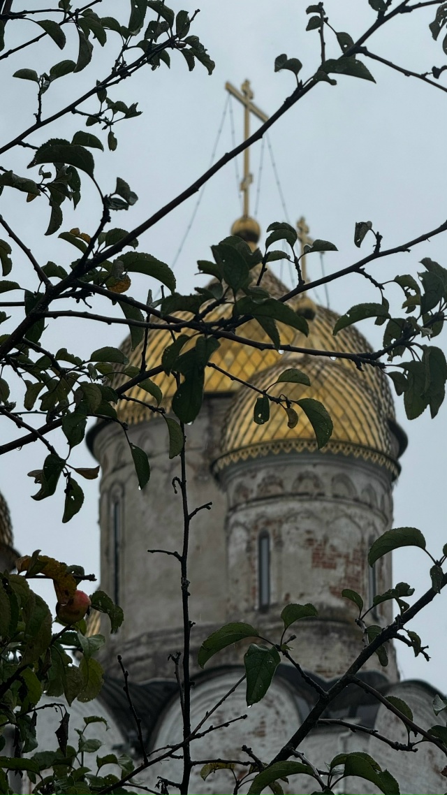 Осеннее спокойствие природы под Можайском 😌