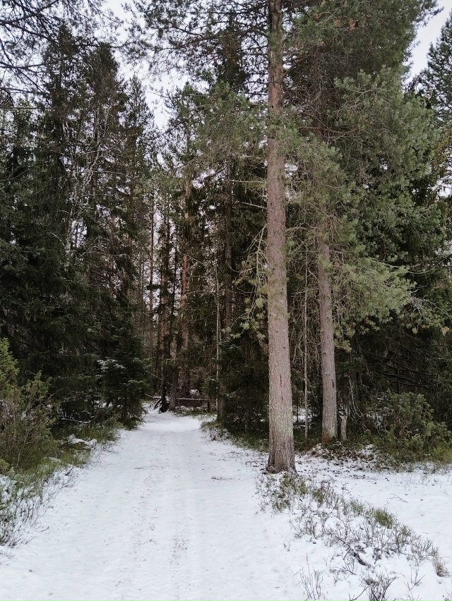 Доброй ночи, Никольск❤