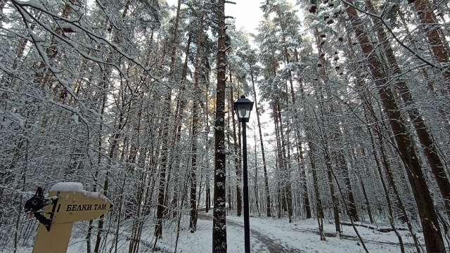 Немного зимней красоты))