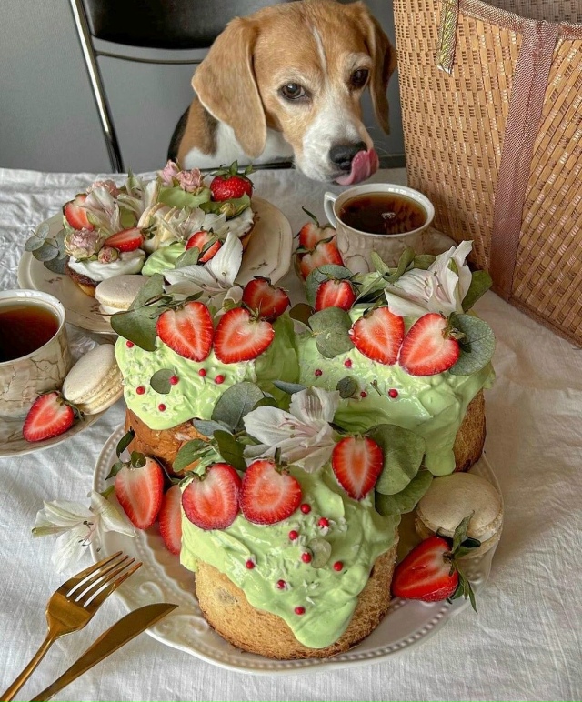Доброе утро 🍽