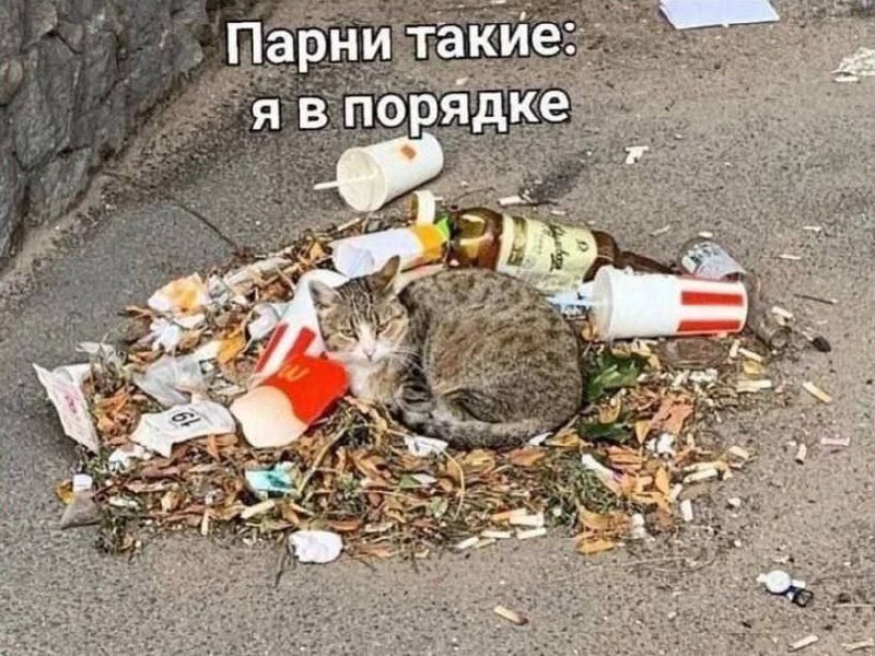 Утренняя подборочка