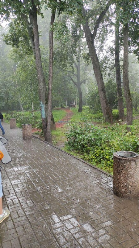 ☔️Прогноз погоды сейчас похож на лотерею
Подписчица жалуется, что в приложении «Яндекс Погода» оса