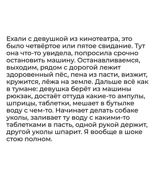История одной поездки