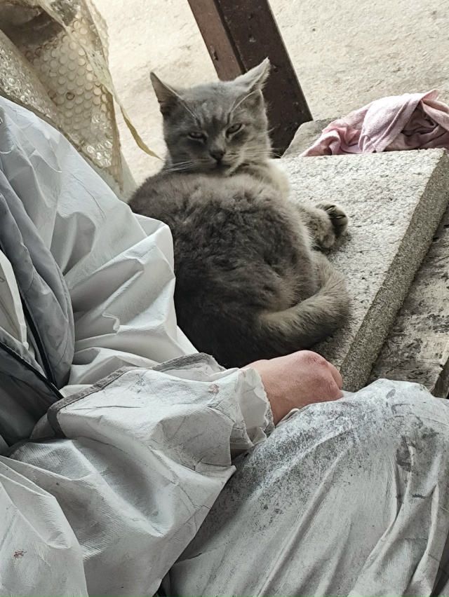 #мявстерская