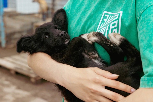 🐶Единый день помощи животным
5 августа по всей стран?...