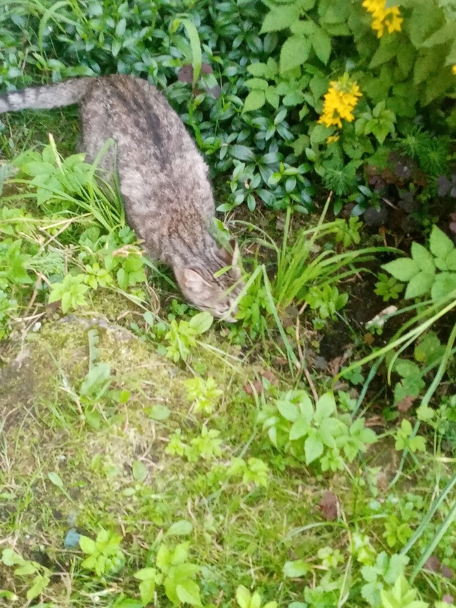 Кто ребёнка потерял? На Комсомольской, 19 в траве сидит.